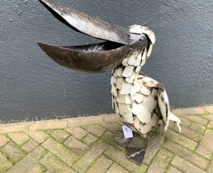 Pelicaan Zimbabwe