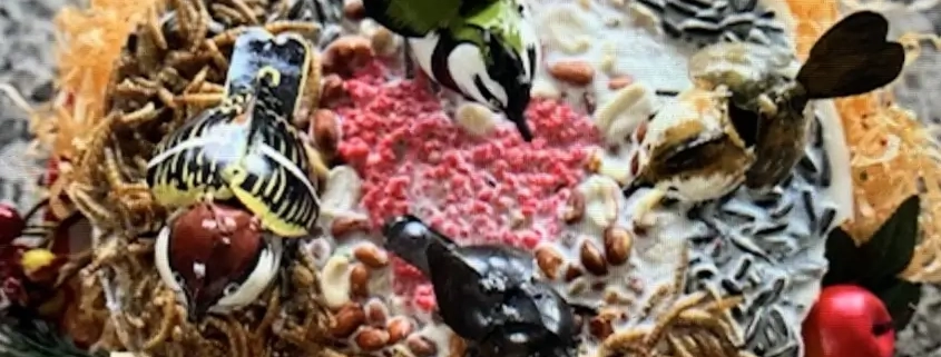 Vogeltaart