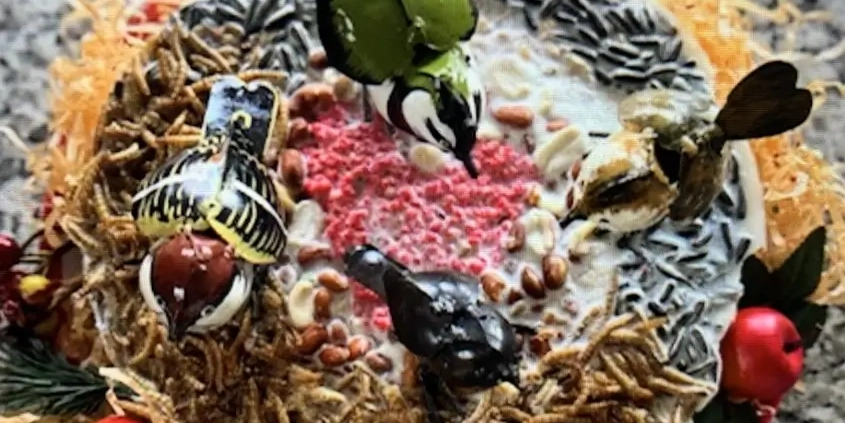 Vogeltaart